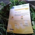 certificato ristorante bagno oliviero